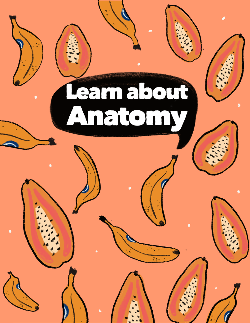 Learn About Anatomy